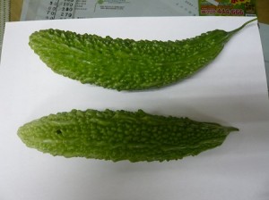 P1180358